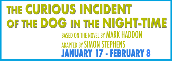 Image 2 The Curious Incident of the Dog In the Night-Time